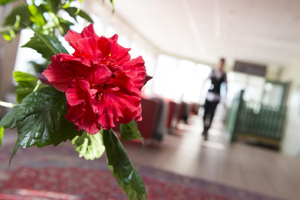 Best Western Hotell Lerdalshoejden Rattvik Luaran gambar